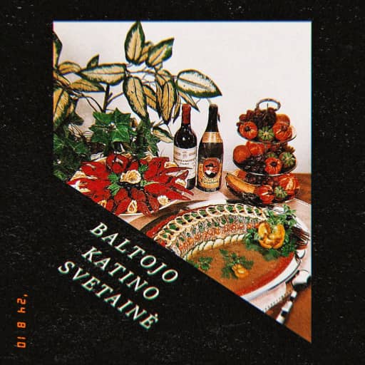 Cover art for Baltojo Katino Svetainė playlist on Soundcloud