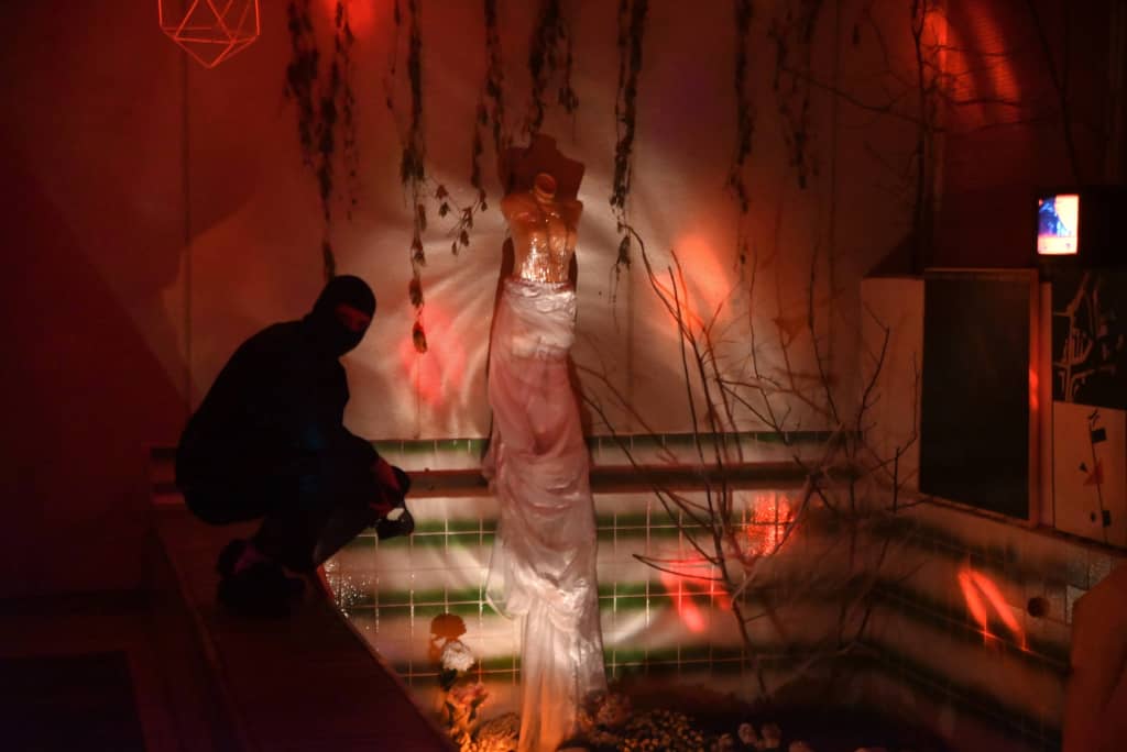 Bandit about to mess up the cemetery