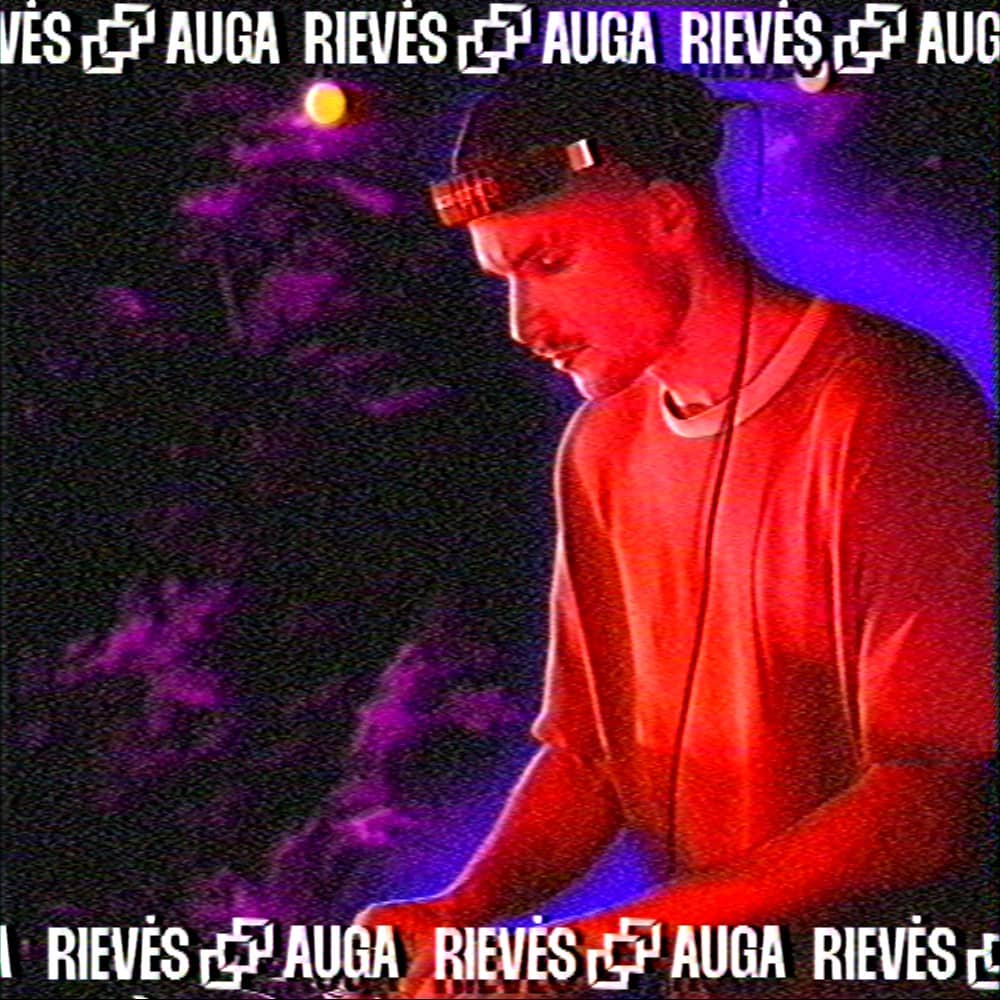 Cover art for RIEVĖS AUGA #9 - Destiny